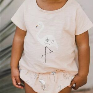 Rylee + Cru Flamingo Print Shirt and Matching Bloomers Size 12-18M